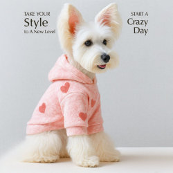 Pet Circle Love Letters Autumn and Winter Valentine's Day Pet Circle Love Letters Autumn and Winter Valentine's Day