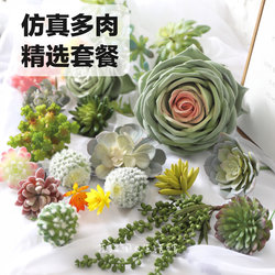 Simulated Succulent Plants, Cacti, a Variety of Artificial Flowers, Indoor Landscaping, Home Decorations, and Display Pieces Simulated Succulent Plants, Cacti, a Variety of Artificial Flowers, Indoor Landscaping, Home Decorations, and Display Pieces