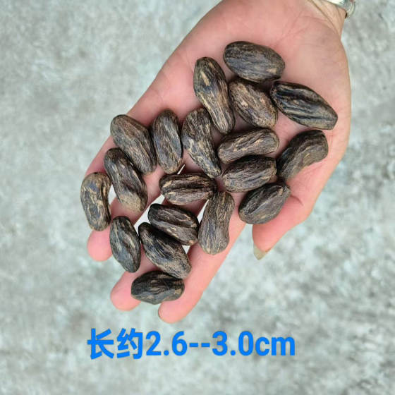 Authentic Vietnamese agarwood with shape loose beads DIY agarwood bracelet accessories The loose beads are about 2.6~3.0cm long
Authentic Vietnamese agarwood with shape loose beads DIY agarwood bracelet accessories The loose beads are about 2.6~3.0cm long