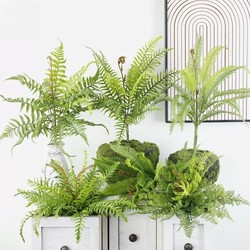 Artificial Fern Plants, Small Green Plants for Landscaping, Indoor Plant Walls, Fake Bouquets, Fake Green Plants for Decoration, Persian Fern Grass Bunches Artificial Fern Plants, Small Green Plants for Landscaping, Indoor Plant Walls, Fake Bouquets, Fake Green Plants for Decoration, Persian Fern Grass Bunches
