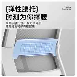 Computer chair office seat back chair comfortable sedentary dormitory college student study home comfortable desk stool Computer chair office seat back chair comfortable sedentary dormitory college student study home comfortable desk stool