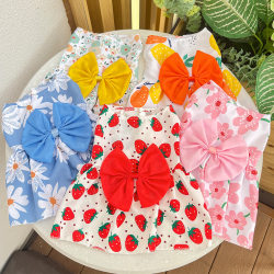Cross-border spring and summer dog skirts pet clothes raincoats Cross-border spring and summer dog skirts pet clothes raincoats