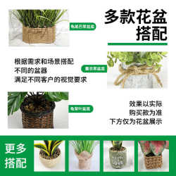 Yellow simulated plant fake flower bonsai ornaments wholesale artificial grass spot simulated green plant cat tail grass potted plant Yellow simulated plant fake flower bonsai ornaments wholesale artificial grass spot simulated green plant cat tail grass potted plant