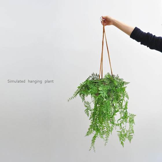 Nordic simple wall hanging county hanging simulation hanging green plant potted plant spider plant table place home office decoration art97
Nordic simple wall hanging county hanging simulation hanging green plant potted plant spider plant table place home office decoration art97