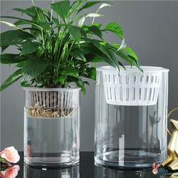 Hydroponic Plant Glassware Creative Flower Pot Water-raised White Palm Red Palm Green Rose Large Vase Transparent Flower Ornaments Hydroponic Plant Glassware Creative Flower Pot Water-raised White Palm Red Palm Green Rose Large Vase Transparent Flower Ornaments