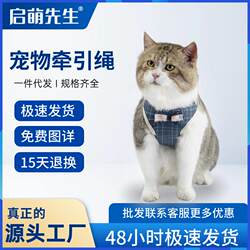 Cat pulling kitten off the chain cat leash Cat pulling kitten off the chain cat leash