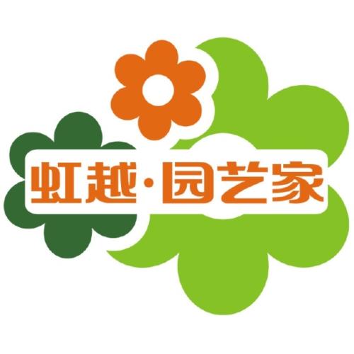 果桑1加仑盆栽苗 果桑1加仑盆栽苗