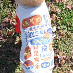 Pet New Year Festive Sweatshiba Inu Corgi Teddy Golden Retriever Alaska Small Dog Medium Large Dog Clothes Pet New Year Festive Sweatshiba Inu Corgi Teddy Golden Retriever Alaska Small Dog Medium Large Dog Clothes