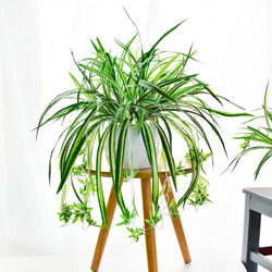 Artificial green plant potted plant green orchid plastic artificial flower bonsai balcony living room decoration floor ornaments floral art Artificial green plant potted plant green orchid plastic artificial flower bonsai balcony living room decoration floor ornaments floral art