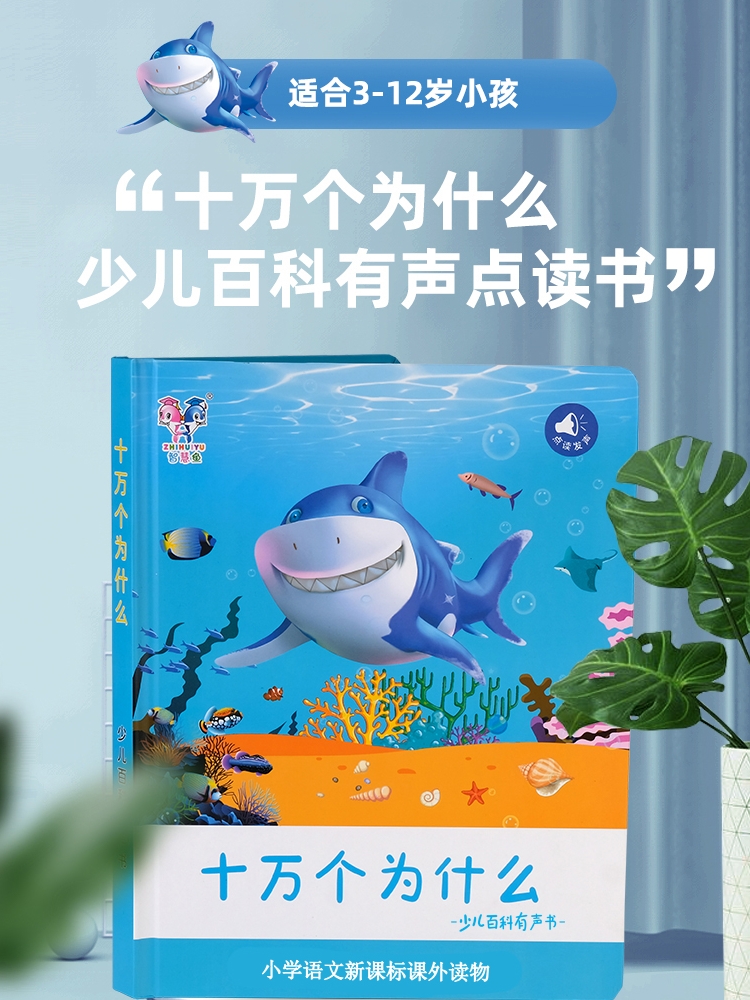専用　音声絵本 専用 音声絵本