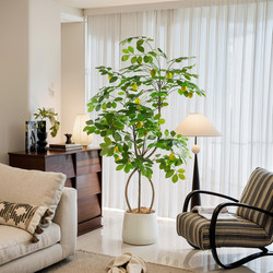 Fake Green Plants, Lemon Trees, Simulated Plants, Large Decorative Green Plants, High-End Living Room Floor-To-Ceiling Window Bionic Potted Ornaments Fake Green Plants, Lemon Trees, Simulated Plants, Large Decorative Green Plants, High-End Living Room Floor-To-Ceiling Window Bionic Potted Ornaments