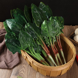 Simulated Spinach Model Fake Vegetable Hot Pot Side Dish Ingredients Pu Photography Props Film Props Children's Cognitive Teaching Aids Simulated Spinach Model Fake Vegetable Hot Pot Side Dish Ingredients Pu Photography Props Film Props Children's Cognitive Teaching Aids