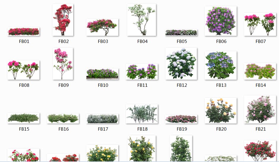 ps花素材图片,ps玫瑰花素材,ps花草素材_大山谷图库