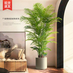 Artificial Green Plant Areca Palm Living Room Light Luxury Decorative Tree Indoor Large Potted Plant Artificial Flower Floor-Standing Ornament Fake Plant Artificial Green Plant Areca Palm Living Room Light Luxury Decorative Tree Indoor Large Potted Plant Artificial Flower Floor-Standing Ornament Fake Plant