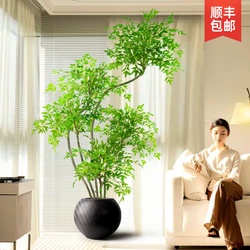 Artificial Flowers, Faux Flower Arrangements, Living Room Plastic Flower Decorations, Simulated Floral Art, Floor-Standing Ornaments, Green Bamboo Plants, Large Potted Plants Artificial Flowers, Faux Flower Arrangements, Living Room Plastic Flower Decorations, Simulated Floral Art, Floor-Standing Ornaments, Green Bamboo Plants, Large Potted Plants