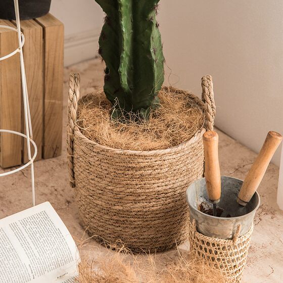 Hainan native flower shop installed gardening coconut silk shop natural coconut silk shop coconut silk potted ceramics
Hainan native flower shop installed gardening coconut silk shop natural coconut silk shop coconut silk potted ceramics