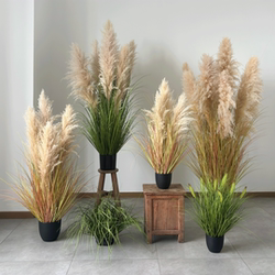 White Reed Head Artificial Reed Plant Potted Dried Flower Decoration Indoor Showcase Restaurant Camping Atmosphere Arrangement White Reed Head Artificial Reed Plant Potted Dried Flower Decoration Indoor Showcase Restaurant Camping Atmosphere Arrangement