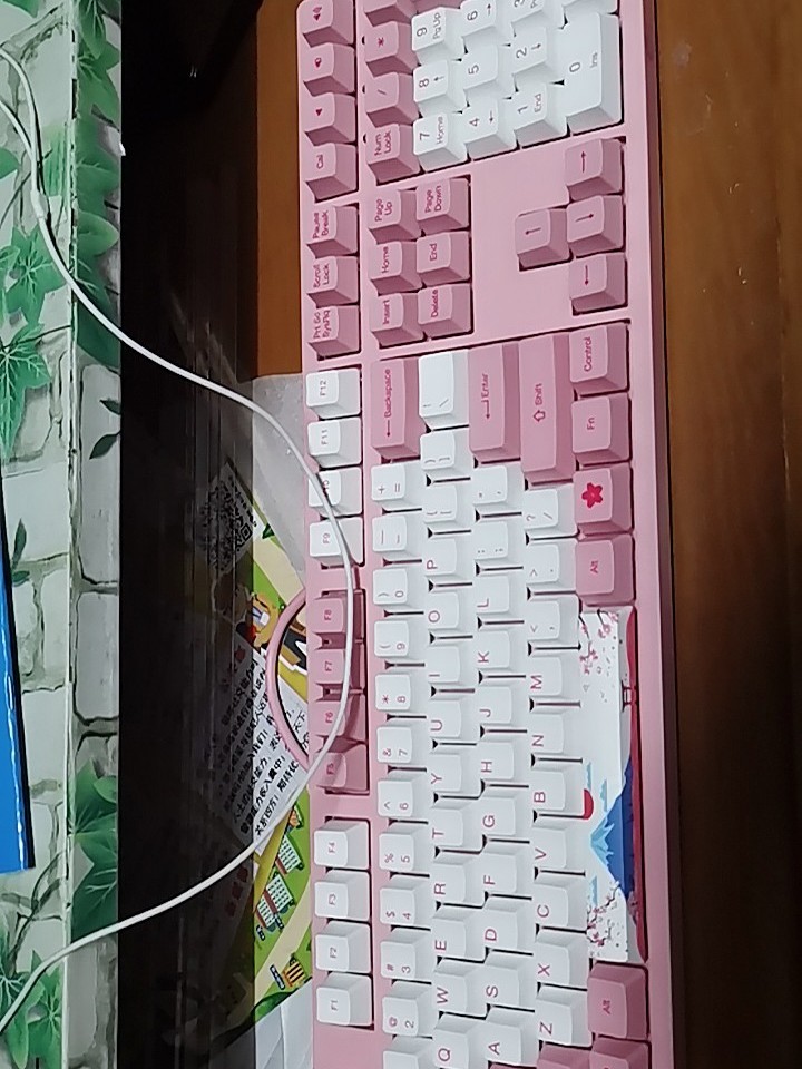 樱落 定制版游戏机械键盘 樱落 定制版游戏机械键盘