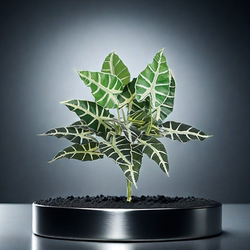 Simulated Green Plants, Ferns, Wall Indoor Landscaping, Fake Flowers, Flower Arrangements, Decorative Green Plants, Maintenance-Free Plastic Flowers Simulated Green Plants, Ferns, Wall Indoor Landscaping, Fake Flowers, Flower Arrangements, Decorative Green Plants, Maintenance-Free Plastic Flowers