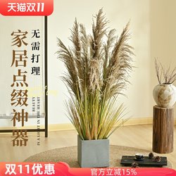 Natural Dried Reed Flowers, Green Plant Ornaments, Artificial Grass, Fake Flowers, Landscaping Plants, Potted Plants, Store and Home Decoration Ornaments Natural Dried Reed Flowers, Green Plant Ornaments, Artificial Grass, Fake Flowers, Landscaping Plants, Potted Plants, Store and Home Decoration Ornaments