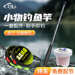 Small Fishing Rod Set, Stream Rod, Crucian Carp Rod, Children's Fishing Rod, Complete Fishing Kit, Ultra-Light, Ultra-Thin, Short-Section Hand Rod Small Fishing Rod Set, Stream Rod, Crucian Carp Rod, Children's Fishing Rod, Complete Fishing Kit, Ultra-Light, Ultra-Thin, Short-Section Hand Rod