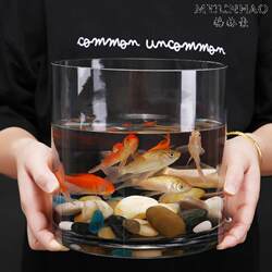 Creative Thickened Straight Glass Fish Tank Cylindrical Large Floor-Standing Vase for Living Room Hydroponic Transparent Glass Ornament Creative Thickened Straight Glass Fish Tank Cylindrical Large Floor-Standing Vase for Living Room Hydroponic Transparent Glass Ornament