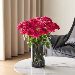Vase Decoration for Living Room, Suitable for Hydroponic Flowers, Shatterproof, Light Luxury, High-End Feel, Transparent Straight Tube, for Lucky Bamboo, Roses, Lilies, Floor-Standing, Large Vase Decoration for Living Room, Suitable for Hydroponic Flowers, Shatterproof, Light Luxury, High-End Feel, Transparent Straight Tube, for Lucky Bamboo, Roses, Lilies, Floor-Standing, Large