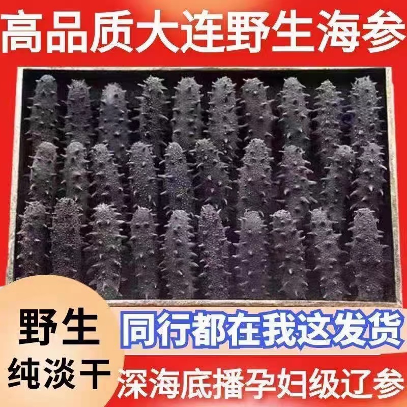乾燥海参、大連特産 海参 47g 乾燥海参、大連特産 海参 47g 海産物 乾燥ナマコ47g入り - メルカリ