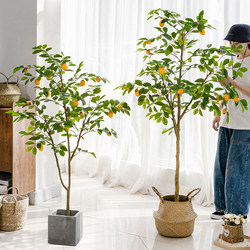 Artificial Lemon Tree Potted Plant Nordic Style Trendy Large Indoor Decorative Flower Living Room Ornament Fake Plant Artificial Lemon Tree Potted Plant Nordic Style Trendy Large Indoor Decorative Flower Living Room Ornament Fake Plant