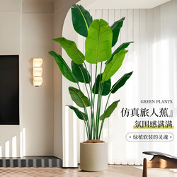 Simulated Traveler's Palm Indoor Living Room High-End Bionic Plant Ornament Decoration High-Quality Floor-Standing Potted Atmosphere Tree Simulated Traveler's Palm Indoor Living Room High-End Bionic Plant Ornament Decoration High-Quality Floor-Standing Potted Atmosphere Tree