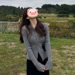 French V-neck gray cross pullover sweater for women early autumn design slim fit inner knitted bottoming shirt top 
French V-neck gray cross pullover sweater for women early autumn design slim fit inner knitted bottoming shirt top