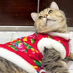 Cat Clothes Northeast Big Flower Winter Heattech New Year Festive Cotton Clothes Xiao Mao Blue Cat New Year Pet Dog Tang Clothes Cat Clothes Northeast Big Flower Winter Heattech New Year Festive Cotton Clothes Xiao Mao Blue Cat New Year Pet Dog Tang Clothes