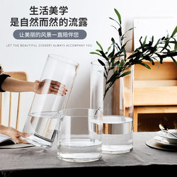 Ultra-White Extra-Large Floor-Standing Transparent Glass Vase, Simple Living Room Decoration with Lucky Bamboo, Poppy, Rose, and Lily Flower Arrangements Ultra-White Extra-Large Floor-Standing Transparent Glass Vase, Simple Living Room Decoration with Lucky Bamboo, Poppy, Rose, and Lily Flower Arrangements