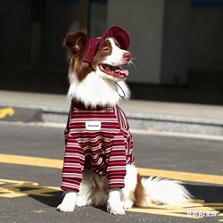 Dog Clothes, Autumn and Winter New Style, Stylish Striped Tops, Large Dog Pet Golden Retriever Labrador Clothes Dog Clothes, Autumn and Winter New Style, Stylish Striped Tops, Large Dog Pet Golden Retriever Labrador Clothes