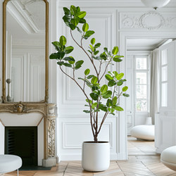 Artificial Bengal Banyan Green Plant for Living Room Sofa Indoor Decoration Floor-Standing Potted Ornament Landscaping Plant Artificial Tree Artificial Bengal Banyan Green Plant for Living Room Sofa Indoor Decoration Floor-Standing Potted Ornament Landscaping Plant Artificial Tree