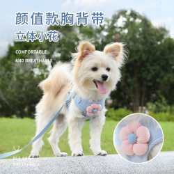 Pet vest leash dog cartoon three-dimensional accessories Teddy walking dog leash cats preventing breaking away from chest and back Pet vest leash dog cartoon three-dimensional accessories Teddy walking dog leash cats preventing breaking away from chest and back