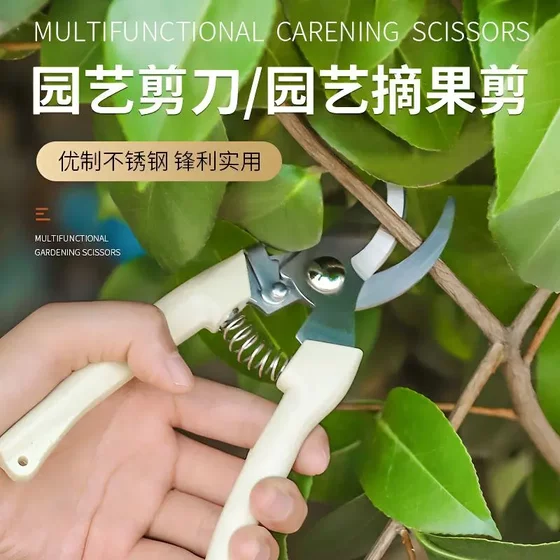 Pruning scissors Garden flower art pruning branches scissors fruit tree scissors thick flower scissors Gardening scissors tool picking fruit
Pruning scissors Garden flower art pruning branches scissors fruit tree scissors thick flower scissors Gardening scissors tool picking fruit