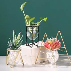 Creative Hydroponic Plant Glass Transparent Vase Ornaments, High-End Niche Flower Arrangement Flower Pots, Decorations for Desktop and Living Room Creative Hydroponic Plant Glass Transparent Vase Ornaments, High-End Niche Flower Arrangement Flower Pots, Decorations for Desktop and Living Room