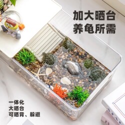 Turtle breeding tank ecological landscaping home visual tank small villa amphibious turtle breeding tank fish tank Turtle breeding tank ecological landscaping home visual tank small villa amphibious turtle breeding tank fish tank