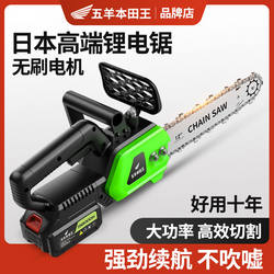 Imported Lithium Electric Chainsaw, Rechargeable, Small, Multi-Functional, Household, High-Power Electric Chain Saw, Outdoor Saw for Cutting Trees and Logging Imported Lithium Electric Chainsaw, Rechargeable, Small, Multi-Functional, Household, High-Power Electric Chain Saw, Outdoor Saw for Cutting Trees and Logging