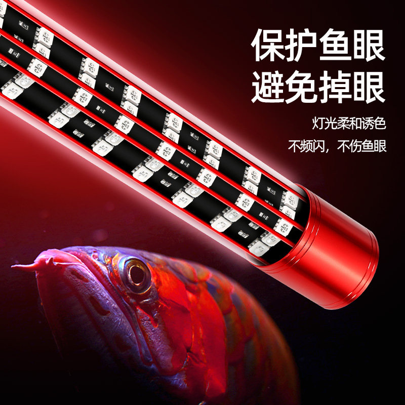 O1CN01WlFhBf26IiSjXhjXz_!!