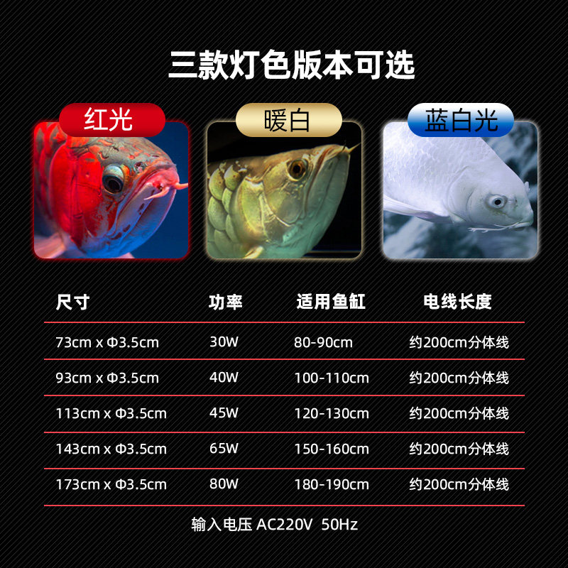 キ*ン様 Arowana Magical Light Series キ*ン様 Arowana Magical Light