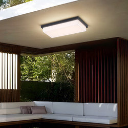 Outdoor Rectangular Ceiling Light, Insect-Proof, for Sunroom, Balcony, Corridor, Outdoor Eaves, Gazebo, Terrace, Foyer, Super Bright Outdoor Rectangular Ceiling Light, Insect-Proof, for Sunroom, Balcony, Corridor, Outdoor Eaves, Gazebo, Terrace, Foyer, Super Bright