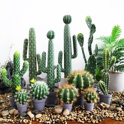 Nordic simulated cactus fake cactus ball measuring tape tropical green plants indoor window decoration scene Nordic simulated cactus fake cactus ball measuring tape tropical green plants indoor window decoration scene