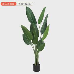 Simulated plant potted plant Nordic large travel canna fake green plant potted plant artificial monstera plastic turtle back tree bonsai Simulated plant potted plant Nordic large travel canna fake green plant potted plant artificial monstera plastic turtle back tree bonsai