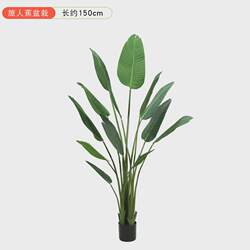 Simulated plant potted Nordic large fake traveler banana green plant potted artificial monstera plastic turtle tree bonsai Simulated plant potted Nordic large fake traveler banana green plant potted artificial monstera plastic turtle tree bonsai