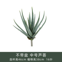 Manufacturer wholesale artificial bonsai potted ornaments large tropical artificial flowers succulents feel simulated aloe vera aloe vera Manufacturer wholesale artificial bonsai potted ornaments large tropical artificial flowers succulents feel simulated aloe vera aloe vera