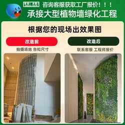 New direct selling simulated plant wall flower wall office three-dimensional green plant background wall decoration artificial turf internet celebrity New direct selling simulated plant wall flower wall office three-dimensional green plant background wall decoration artificial turf internet celebrity
