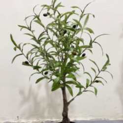 Simulated plants with fruits and olive trees can be detached and installed green plants potted plants travelers simulated flowers, banana artificial scattered sunflower fake tree Simulated plants with fruits and olive trees can be detached and installed green plants potted plants travelers simulated flowers, banana artificial scattered sunflower fake tree