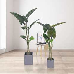Nordic style simulated plant rainbow taro artificial rainbow tree green plant potted home hotel decoration spring taro potted plant Nordic style simulated plant rainbow taro artificial rainbow tree green plant potted home hotel decoration spring taro potted plant
